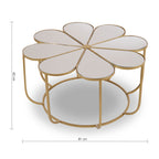 Silver and Gold Iron Frame Coffee Table with Petal Design Mirrored Top, Rabia