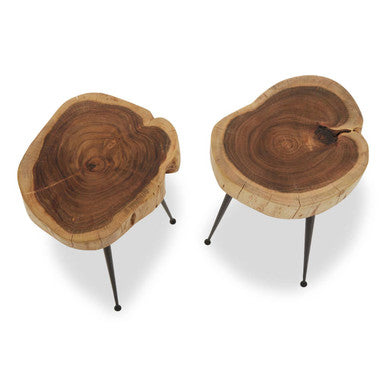 Set of 2 Natural Wood Carved Tops Side Tables with Black Metal Tapered Legs | Nandri