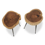 Set of 2 Natural Wood Carved Tops Side Tables with Black Metal Tapered Legs | Nandri