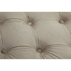 Mink Velvet Button Tufted Bench | Alea