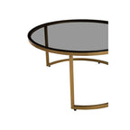 Set of 2 Black Tinted Glass Round Tops Nesting Coffee Tables with Brushed Gold Stainless Steel Frames | Alana