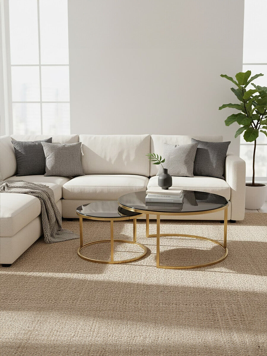 Set of 2 Black Tinted Glass Round Tops Nesting Coffee Tables with Brushed Gold Stainless Steel Frames | Alana