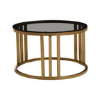 Set of 2 Tinted Glass Round Tops Nesting Coffee Tables with Brushed Gold Stainless Steel Frames | Alana