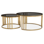 Set of 2 Tinted Glass Round Tops Nesting Coffee Tables with Brushed Gold Stainless Steel Frames | Alana