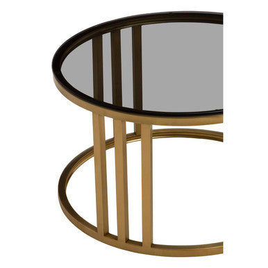 Set of 2 Tinted Glass Round Tops Nesting Coffee Tables with Brushed Gold Stainless Steel Frames | Alana
