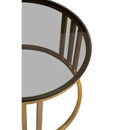 Set of 2 Tinted Glass Round Tops Nesting Coffee Tables with Brushed Gold Stainless Steel Frames | Alana