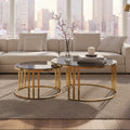 Set of 2 Tinted Glass Round Tops Nesting Coffee Tables with Brushed Gold Stainless Steel Frames | Alana