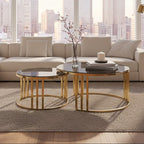 Set of 2 Tinted Glass Round Tops Nesting Coffee Tables with Brushed Gold Stainless Steel Frames | Alana