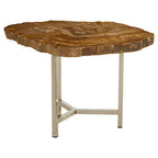 Natural Small Rustic Petrified Wood Top Side Table with Silver Finish Metal Frame | Relic