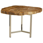 Natural Small Rustic Petrified Wood Top Side Table with Silver Finish Metal Frame | Relic