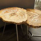 Natural Small Rustic Petrified Wood Top Side Table with Silver Finish Metal Frame | Relic