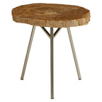 Natural Medium Rustic Petrified Wood Top Side Table with Silver Finish Metal Frame | Relic
