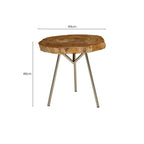 Natural Medium Rustic Petrified Wood Top Side Table with Silver Finish Metal Frame | Relic