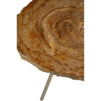 Natural Medium Rustic Petrified Wood Top Side Table with Silver Finish Metal Frame | Relic