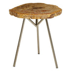Natural Large Rustic Petrified Wood Top Side Table with Silver Finish Metal Frame | Relic