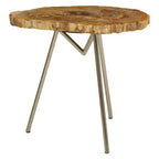 Natural Large Rustic Petrified Wood Top Side Table with Silver Finish Metal Frame | Relic