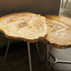 Natural Large Rustic Petrified Wood Top Side Table with Silver Finish Metal Frame | Relic