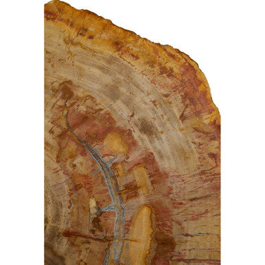 Natural Large Rustic Petrified Wood Top Side Table with Silver Finish Metal Frame | Relic