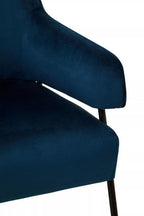 Blue Velvet Chair | Henia