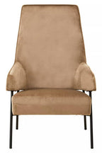 Mink Velvet Chair | Henia