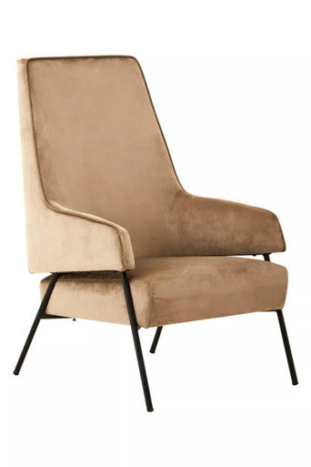 Mink Velvet Chair | Henia