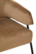 Mink Velvet Chair | Henia