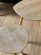 Set of 2 Natural Shagreen Leather Round Top Side Tables with Gold Finish Legs | Cadio