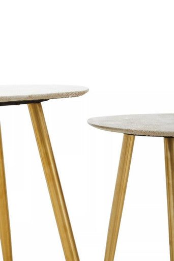 Set of 2 Natural Shagreen Leather Round Top Side Tables with Gold Finish Legs | Cadio
