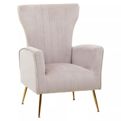 Mink Velvet Accent Chair With Gold Finish Legs | Zamora