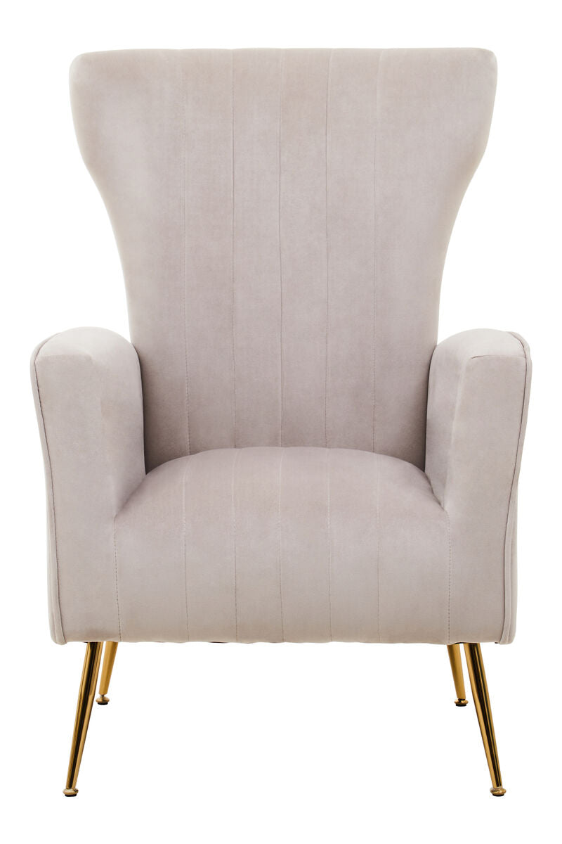 Mink Velvet Accent Chair With Gold Finish Legs | Zamora