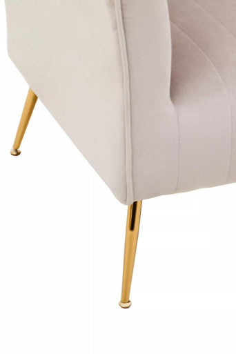 Mink Velvet Accent Chair With Gold Finish Legs | Zamora