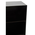 Black Mango Wood Cabinet | Kochi