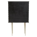 Two Door Cabinet | Sirsa
