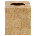 Beige Seashell Square Tissue Box | Palu