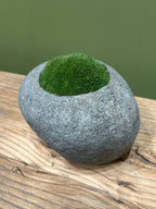 Indo Riverstone planted with Preserved Moss FR68