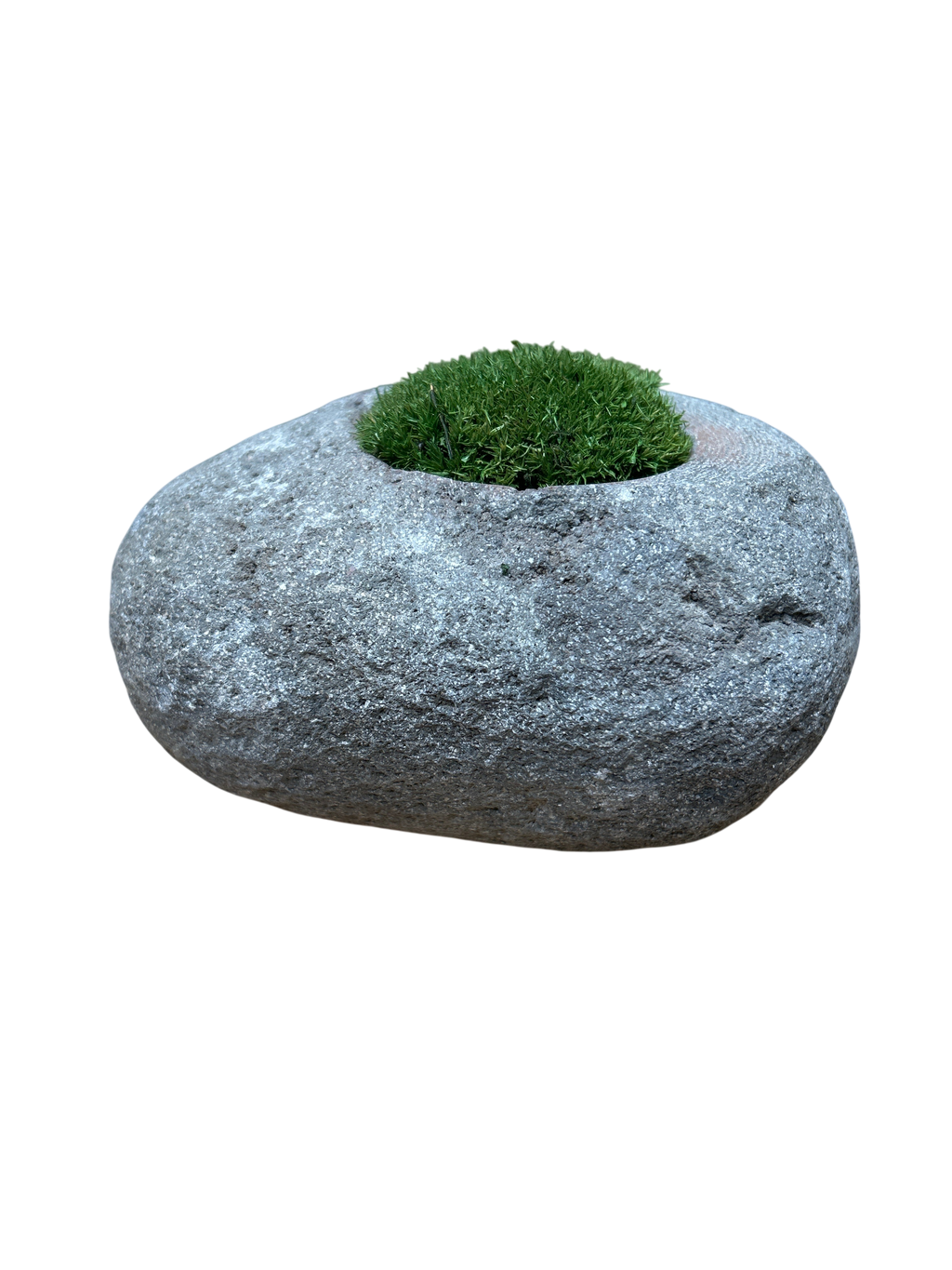 Indo Riverstone planted with Preserved Moss FR71