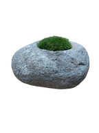 Indo Riverstone planted with Preserved Moss FR71