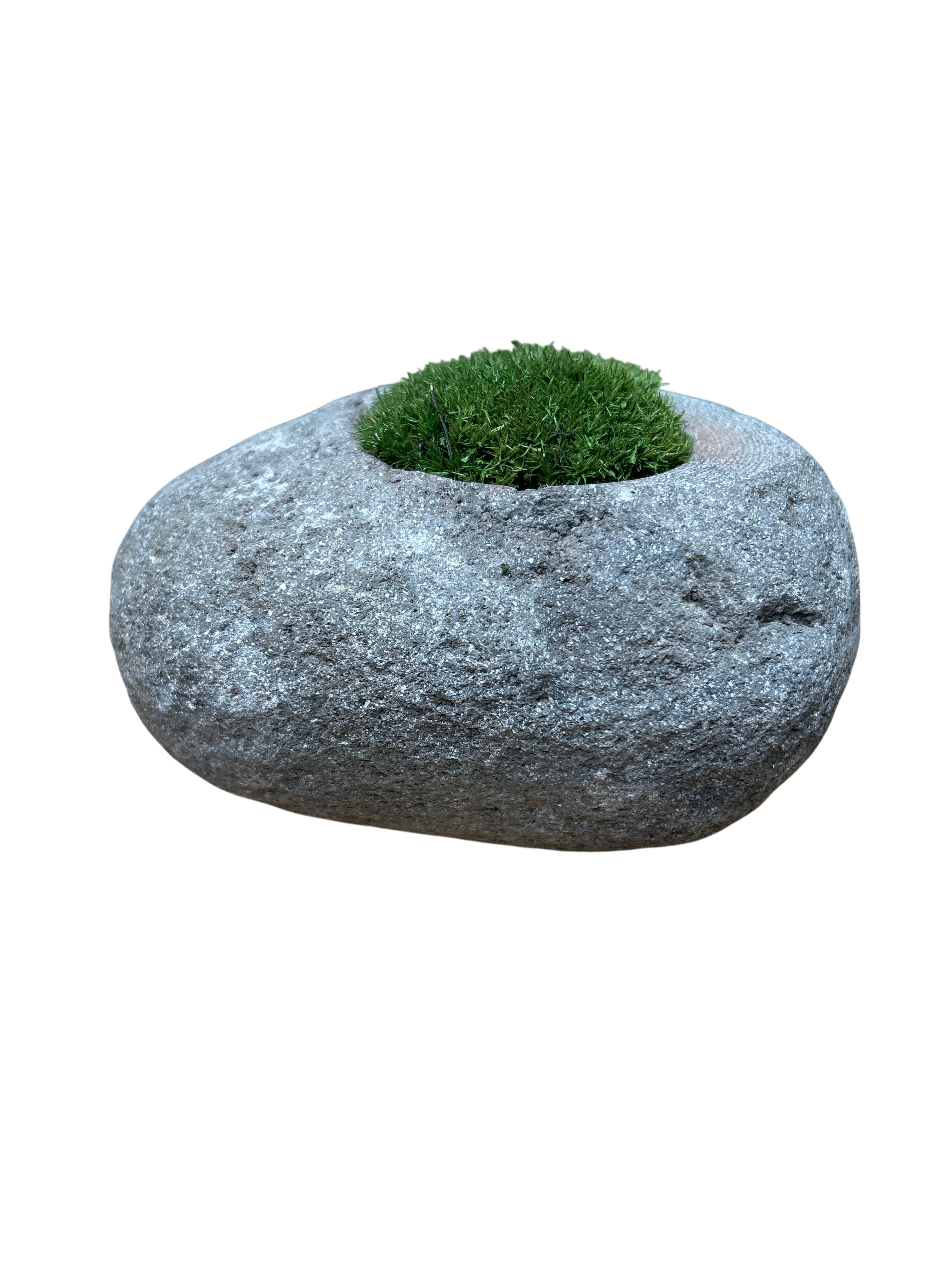 Indo Riverstone planted with Preserved Moss FR71