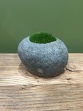 Indo Riverstone planted with Preserved Moss FR68