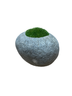Indo Riverstone planted with Preserved Moss FR68
