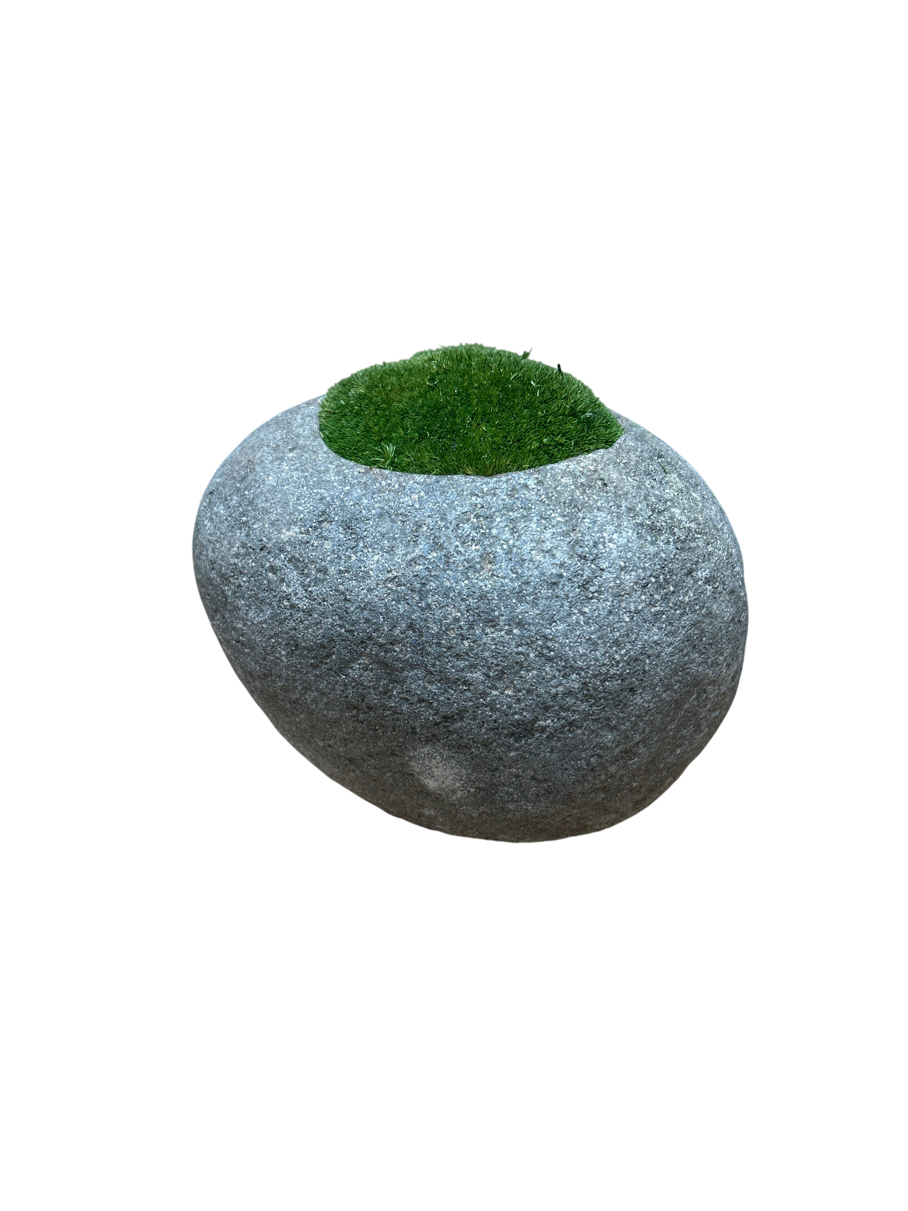Indo Riverstone planted with Preserved Moss FR68