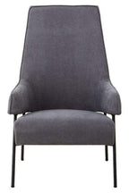 Ash Velvet Chair | Henia