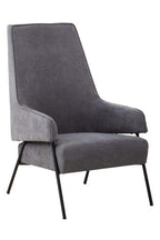 Ash Velvet Chair | Henia