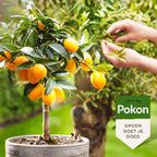 Pokon - liquid plant food Mediterranean Plants - 500ml