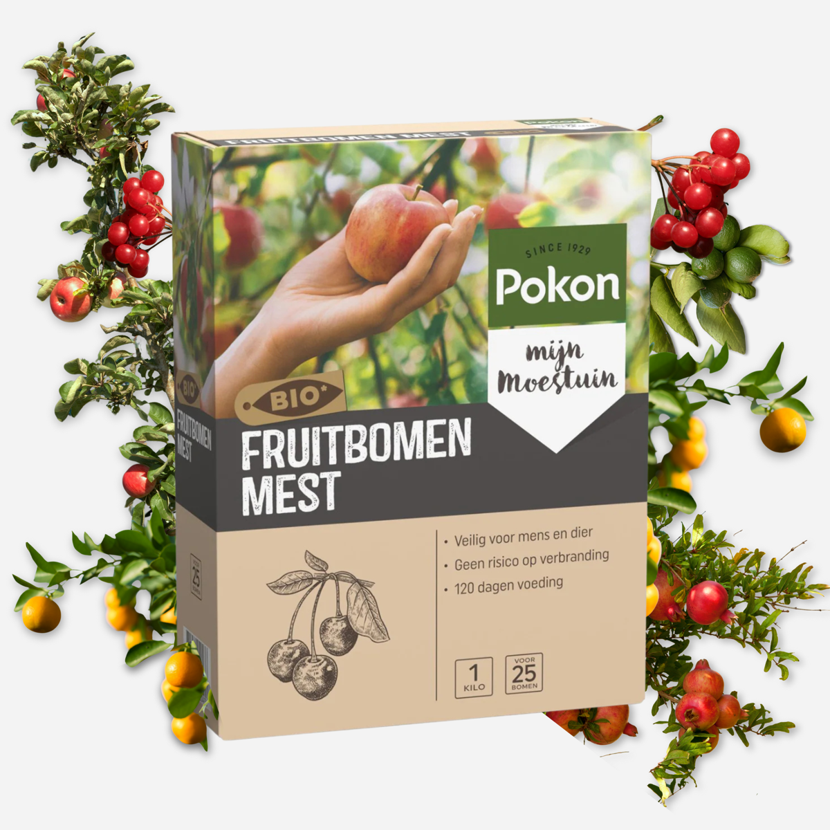 Pokon Bio fruit tree fertilizer - 1kg