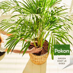 Pokon liquid plant food - palms - 250ml