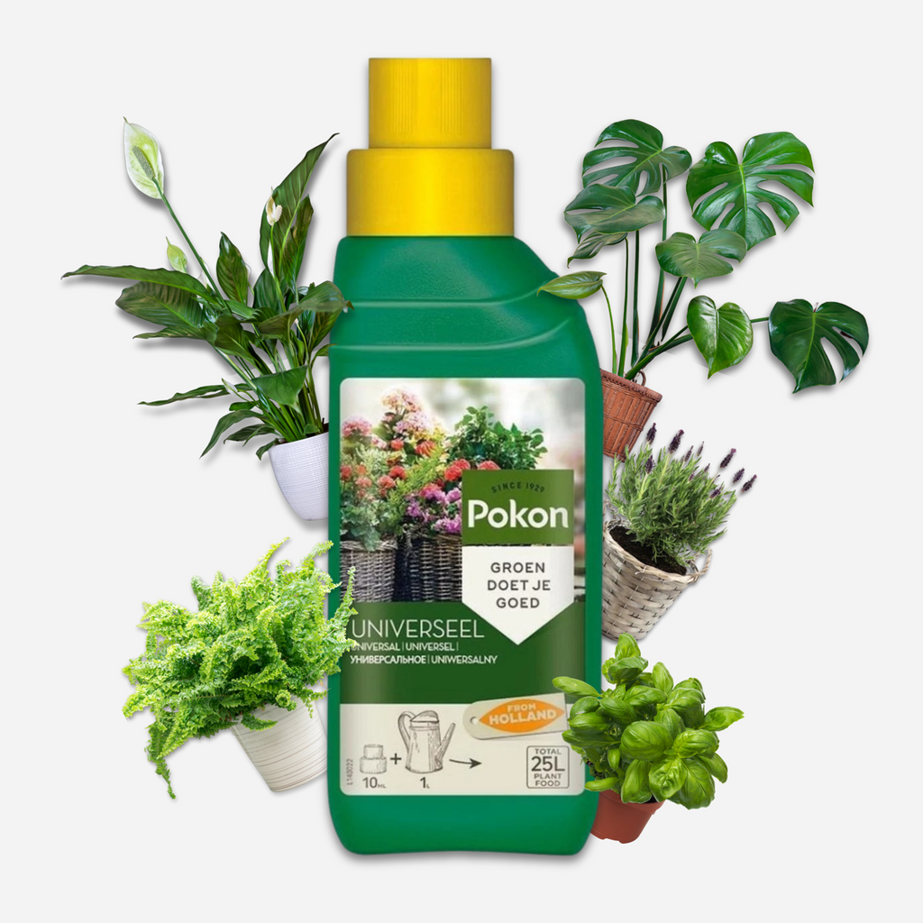 Pokon Universal liquid plant food - 500ml