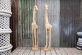 Swazi Giraffe - L