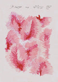 No.032 - Venus Plumes - Vintage Archive Poster Prints