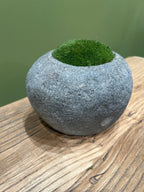 Indo Riverstone planted with Preserved Moss FR68